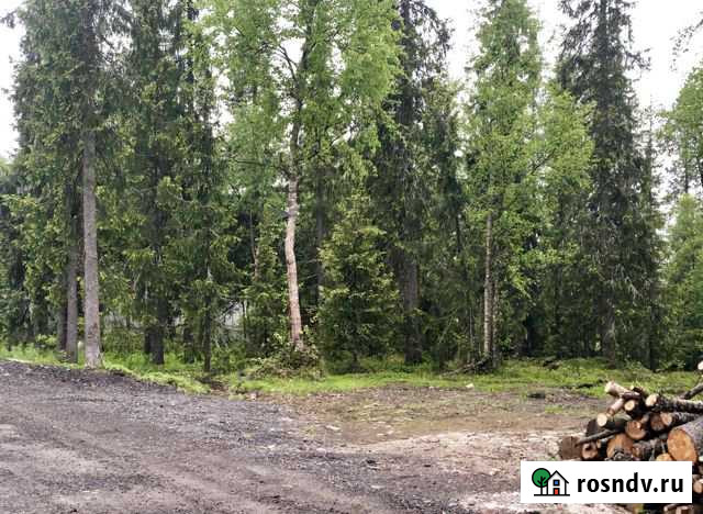 Участок СНТ, ДНП 17 сот. на продажу в Коле Кола - изображение 1