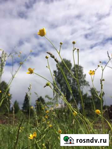 Участок ИЖС 18 сот. на продажу в Ревде Свердловской области Ревда - изображение 1