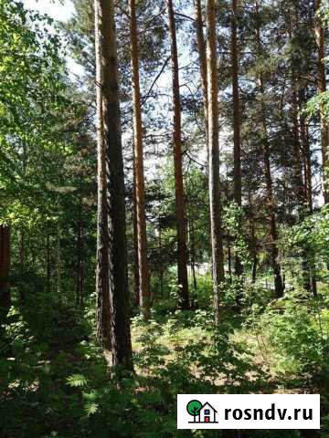 Участок ИЖС 19 сот. на продажу в Сысерти Сысерть - изображение 1