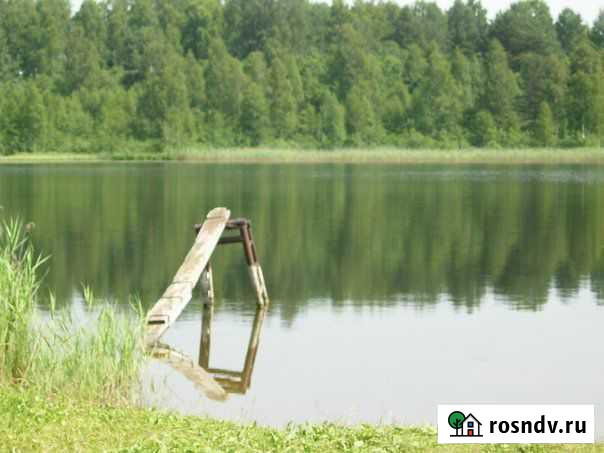 Участок ИЖС 250 сот. на продажу в Себеже Себеж - изображение 1