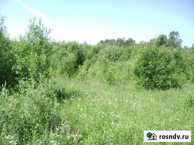 Участок СНТ, ДНП 2000 сот. на продажу в Воротынце Воротынец - изображение 1