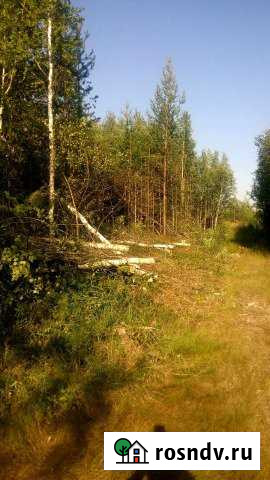 Участок ИЖС 20 сот. на продажу в Сургуте Сургут - изображение 1