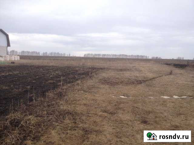 Участок ИЖС 20 сот. на продажу в Выездном Выездное - изображение 1