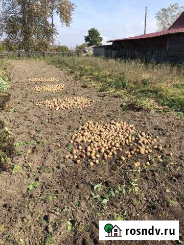 Участок СНТ, ДНП 20 сот. на продажу в Новой Ляле Новая Ляля - изображение 1