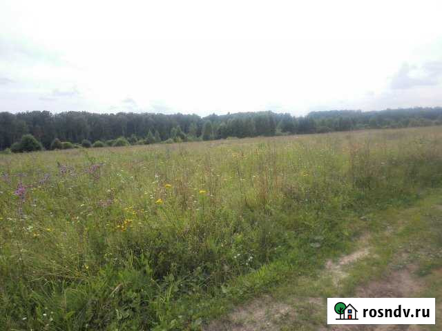 Участок ИЖС 24 сот. на продажу в Петушках Петушки - изображение 1