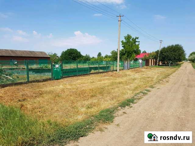 Участок ИЖС 25 сот. на продажу в Роговской Роговская - изображение 1