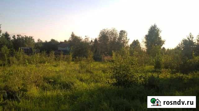 Участок ИЖС 25 сот. на продажу в Федотово Федотово - изображение 1