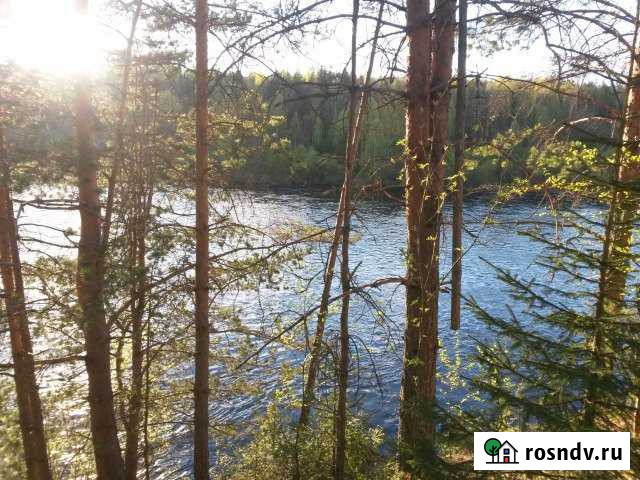 Участок ИЖС 26 сот. на продажу в Пряже Пряжа - изображение 1