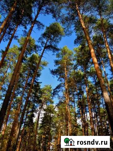 Участок ИЖС 28 сот. на продажу в Зеленогорске Зеленогорск - изображение 1