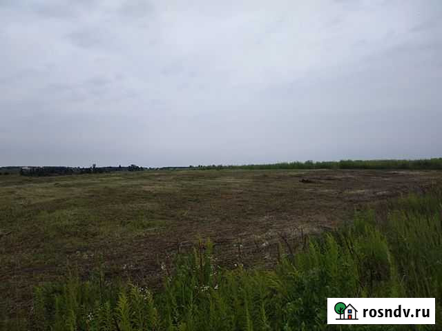 Участок ИЖС 28 сот. на продажу в Добруне Добрунь - изображение 1