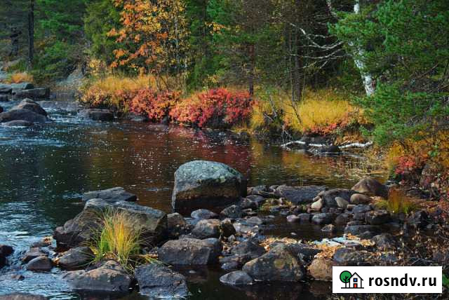 Участок ИЖС 300 сот. на продажу в Турочаке Турочак - изображение 1