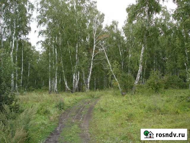 Участок СНТ, ДНП 383 сот. на продажу в Костерево Костерево - изображение 1