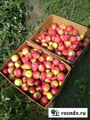 Участок СНТ, ДНП 3000 сот. на продажу в Разумном Разумное - изображение 1