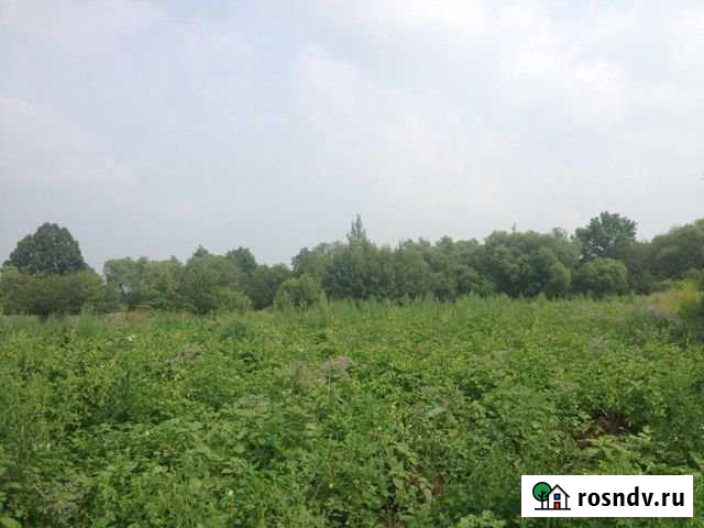 Участок ИЖС 30 сот. на продажу в Щекино Щекино - изображение 1