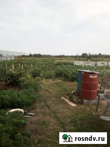 Участок ИЖС 30 сот. на продажу в Ялуторовске Ялуторовск - изображение 1