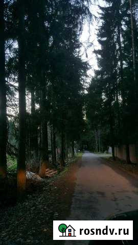 Участок СНТ, ДНП 34 сот. на продажу в Зеленогорске Зеленогорск - изображение 1