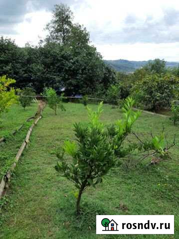 Участок ИЖС 4 сот. на продажу в Высоком Высокое - изображение 1