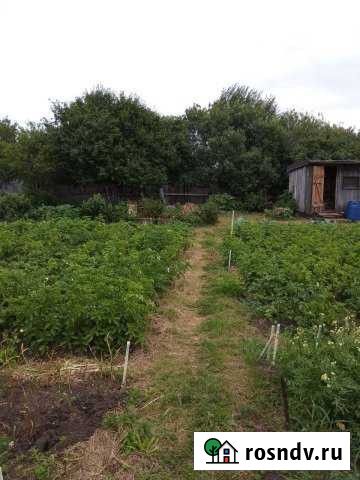 Участок СНТ, ДНП 4 сот. на продажу в Йошкар-Оле Йошкар-Ола - изображение 1