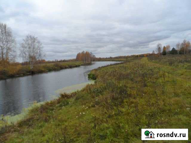 Участок СНТ, ДНП 450 сот. на продажу в Некрасовском Ярославской области Некрасовское - изображение 1