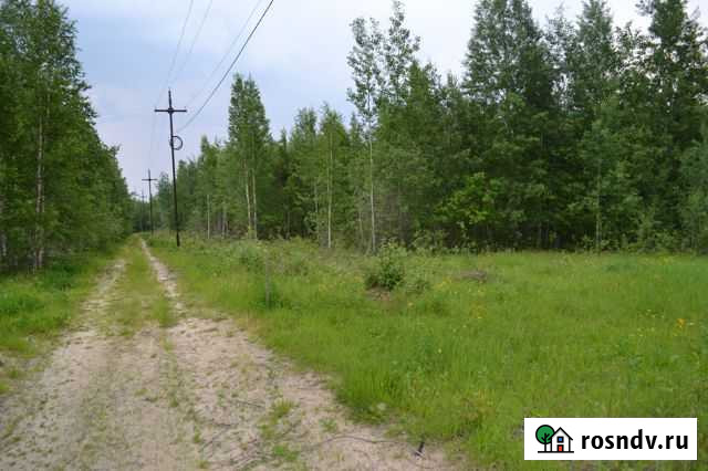 Участок ИЖС 40 сот. на продажу в Нефтеюганске Нефтеюганск - изображение 1