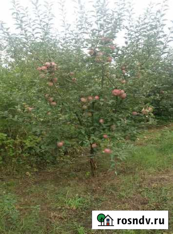 Участок ИЖС 5 сот. на продажу в Нальчике Нальчик - изображение 1