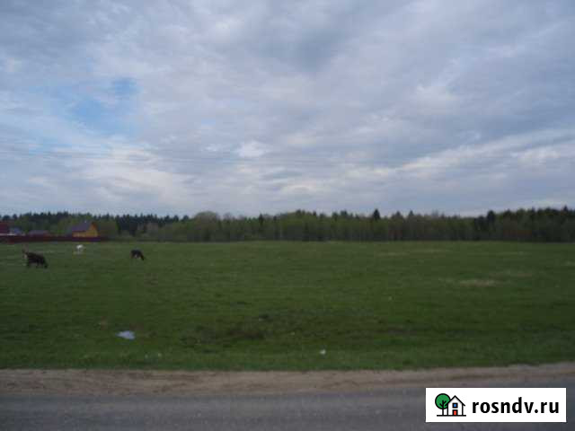 Участок СНТ, ДНП 570 сот. на продажу в Александрове Александров - изображение 1