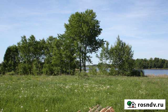 Участок ИЖС 50 сот. на продажу в Невеле Невель - изображение 1