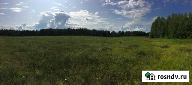 Участок СНТ, ДНП 600 сот. на продажу в Добрянке Добрянка - изображение 1