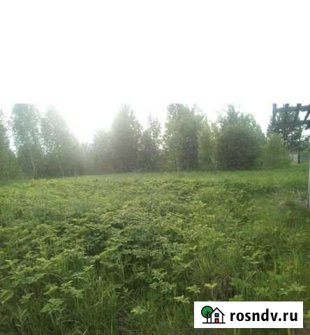 Участок СНТ, ДНП 6 сот. на продажу в Лоскутово Лоскутово - изображение 1