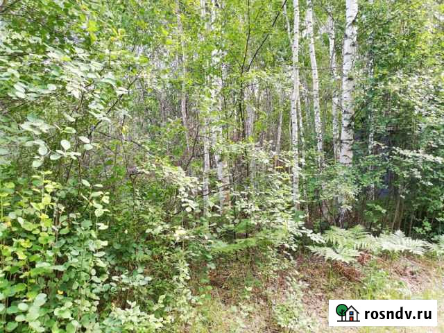 Участок СНТ, ДНП 6 сот. на продажу в Городце Городец - изображение 1