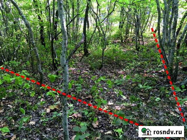 Участок СНТ, ДНП 6 сот. на продажу в Супсехе Супсех - изображение 1