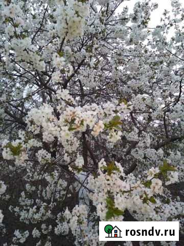 Участок ИЖС 7 сот. на продажу в Цибанобалке Цибанобалка - изображение 1