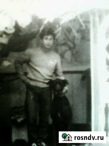 Участок СНТ, ДНП 7 сот. на продажу в Советске Калининградской области Советск - изображение 1