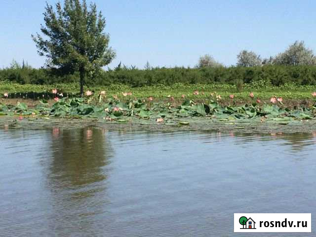 Участок СНТ, ДНП 7500 сот. на продажу в Икряном Икряное - изображение 1