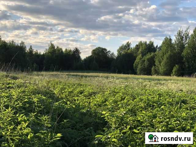 Участок ИЖС 75 сот. на продажу в Пушкинских Горах Пушкинские Горы - изображение 1