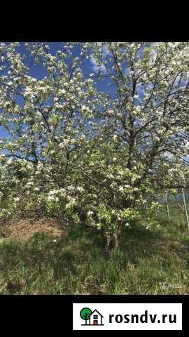 Участок СНТ, ДНП 8 сот. на продажу в Суроватихе Суроватиха - изображение 1