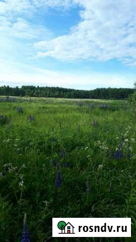 Участок СНТ, ДНП 820 сот. на продажу в Петушках Петушки - изображение 1