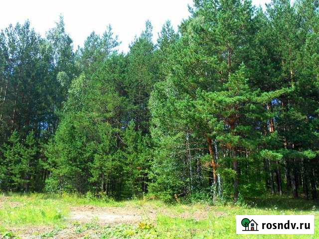 Участок ИЖС 9 сот. на продажу в Миассе Миасс - изображение 1