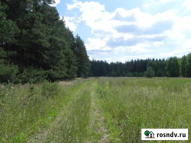 Участок СНТ, ДНП 970 сот. на продажу в Шатуре Шатура - изображение 1