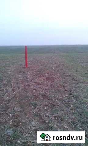 Участок СНТ, ДНП 350 сот. на продажу в Жаворонках Жаворонки - изображение 1