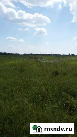 Участок СНТ, ДНП 950 сот. на продажу в Октябрьском Рязанской области Октябрьский - изображение 1