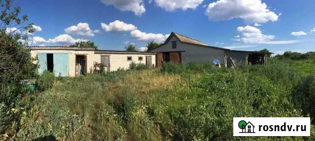 Участок ИЖС 40 сот. на продажу в Новоселках Новоселки - изображение 1