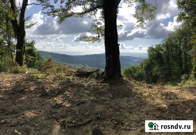 Участок СНТ, ДНП 8 сот. на продажу в Высоком Высокое - изображение 1