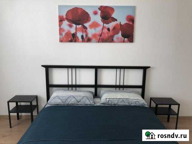 Квартира-студия, 25 м², 19/24 эт. в аренду посуточно в Пушкине Пушкин - изображение 1