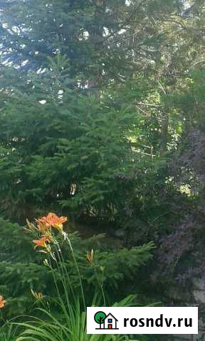 Дача 45 м² на участке 10 сот. на продажу в Сызрани Сызрань - изображение 1