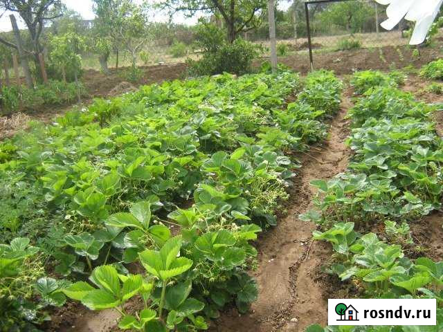 Дача 50 м² на участке 20 сот. на продажу в Саках Саки - изображение 1