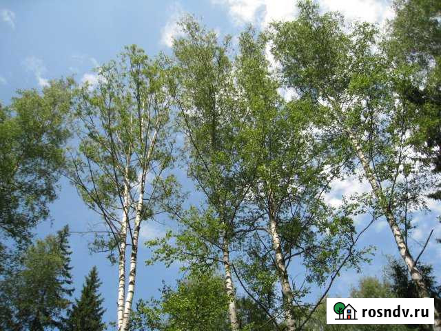 Участок ИЖС 14 сот. на продажу в Некрасовском Московской области Некрасовский - изображение 1