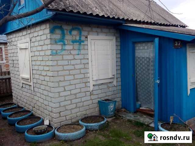 Дача 20 м² на участке 4.2 сот. на продажу в Ишиме Ишим - изображение 1