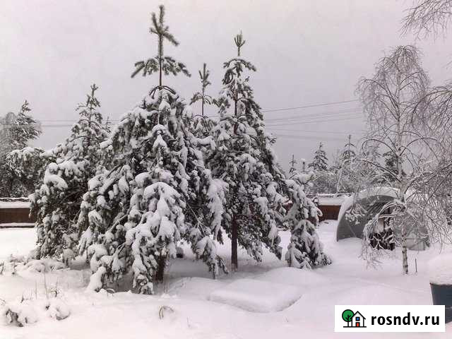 Участок СНТ, ДНП 14 сот. на продажу в Куровском Куровское - изображение 1