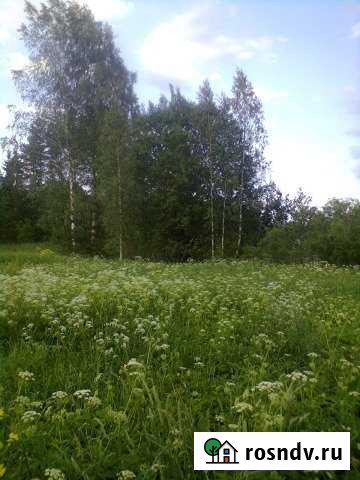 Участок ИЖС 24 сот. на продажу в Елизаветино Елизаветино - изображение 1